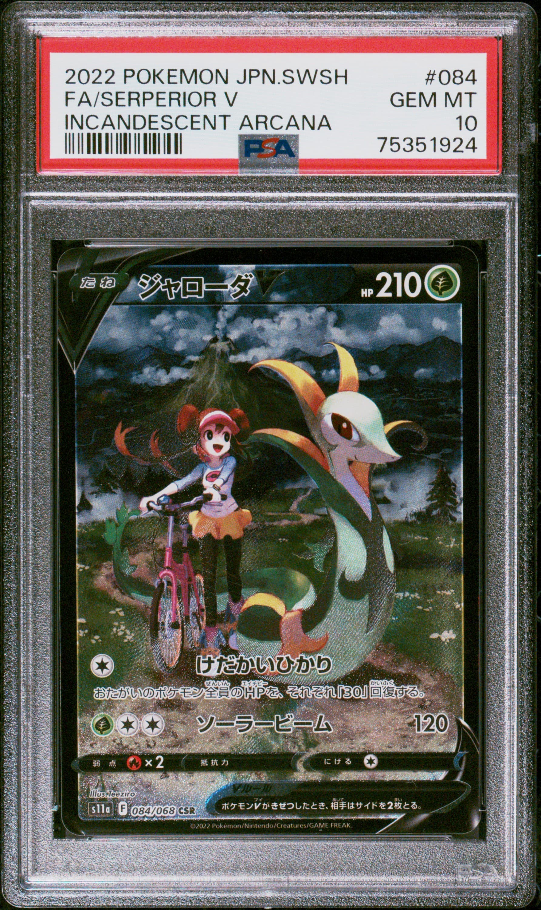 Full Art/Serperior V