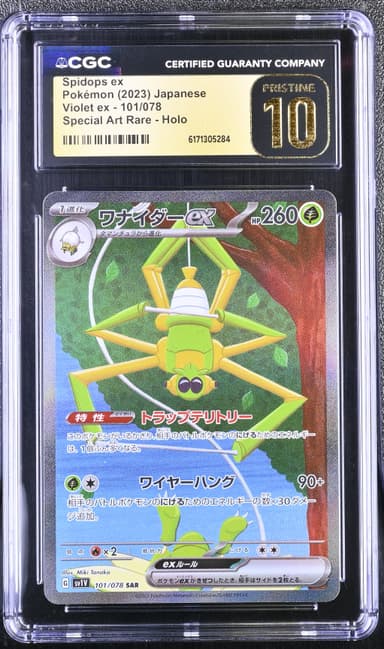 Spidops ex