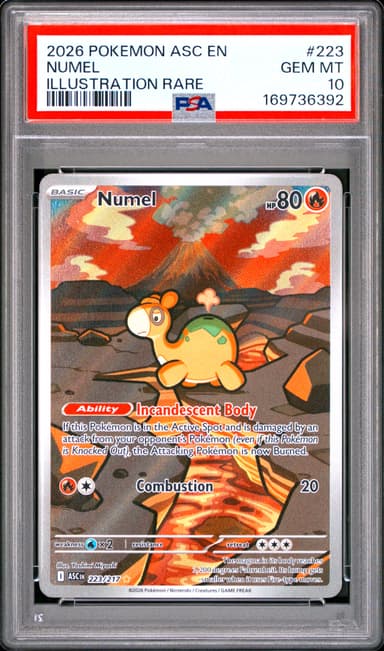 Numel