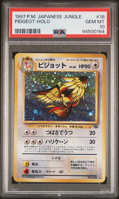 Pidgeot-Holo