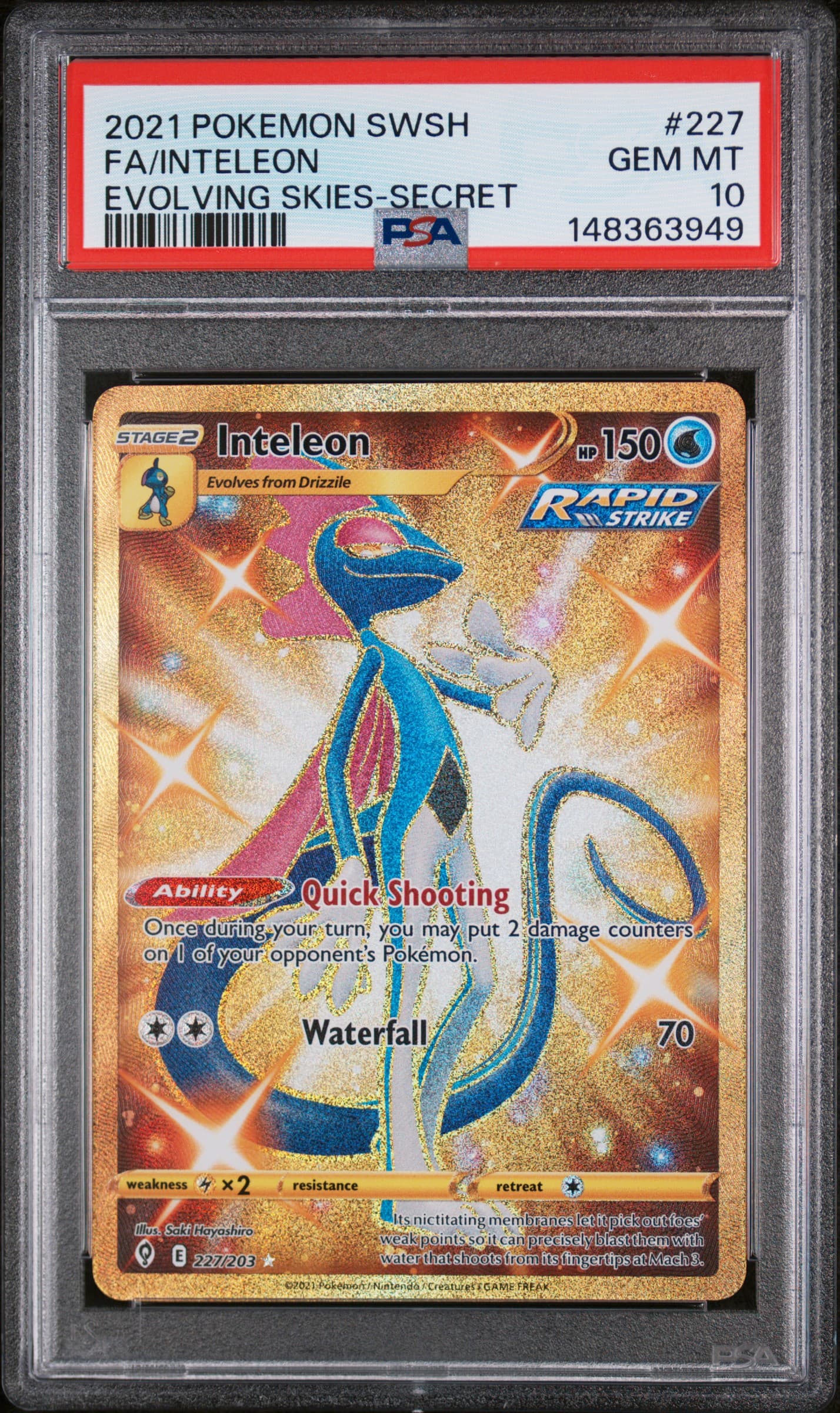 Full Art/Inteleon