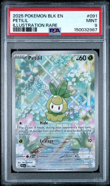 Petilil