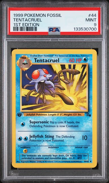 Tentacruel 1st Edition