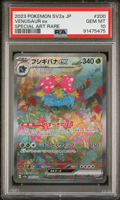 Venusaur EX