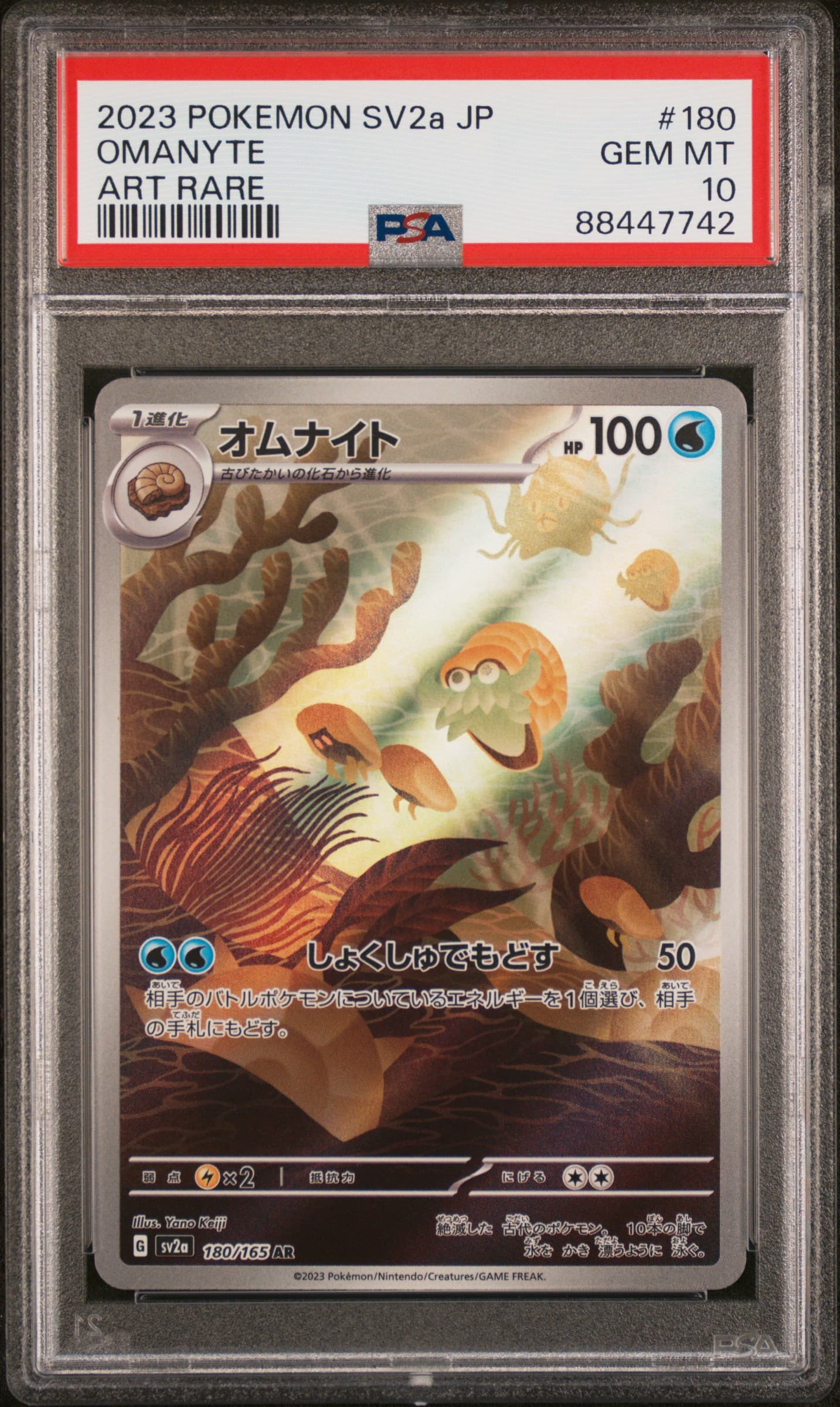 Omanyte
