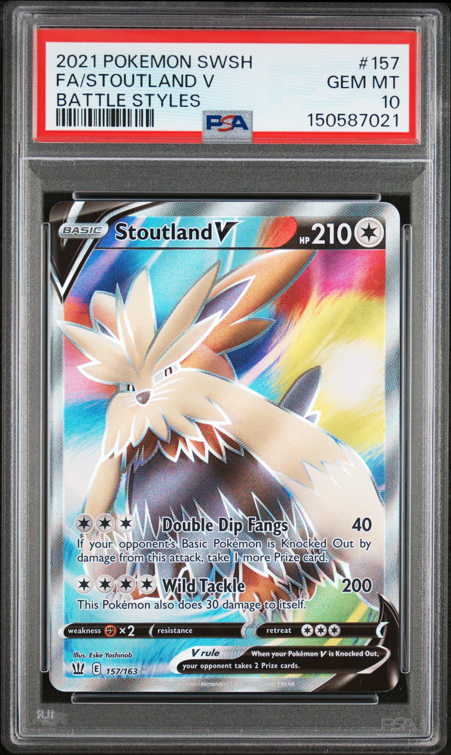 Full Art/Stoutland V