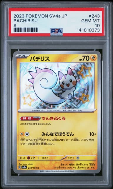 Pachirisu