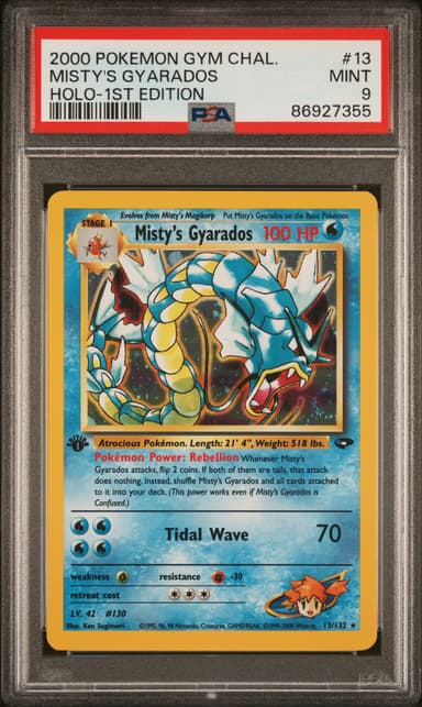 Misty's Gyarados
