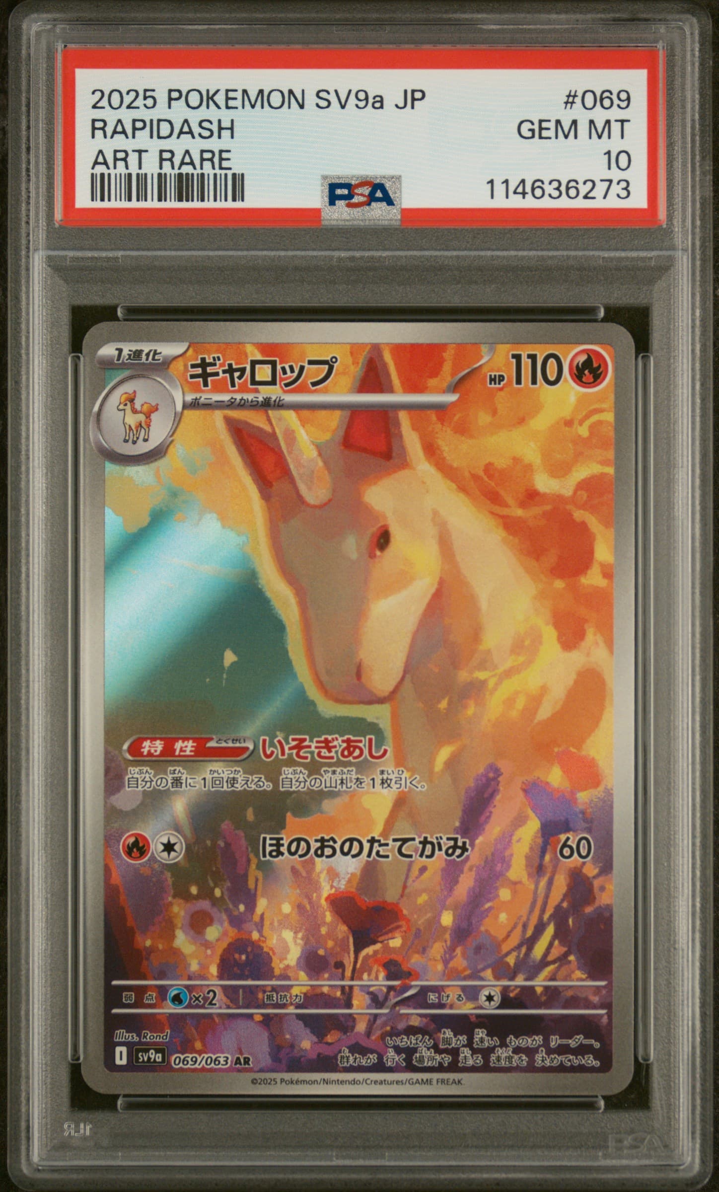 Rapidash