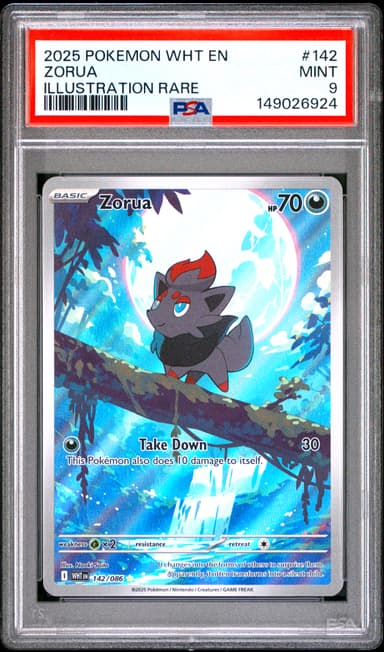 Zorua