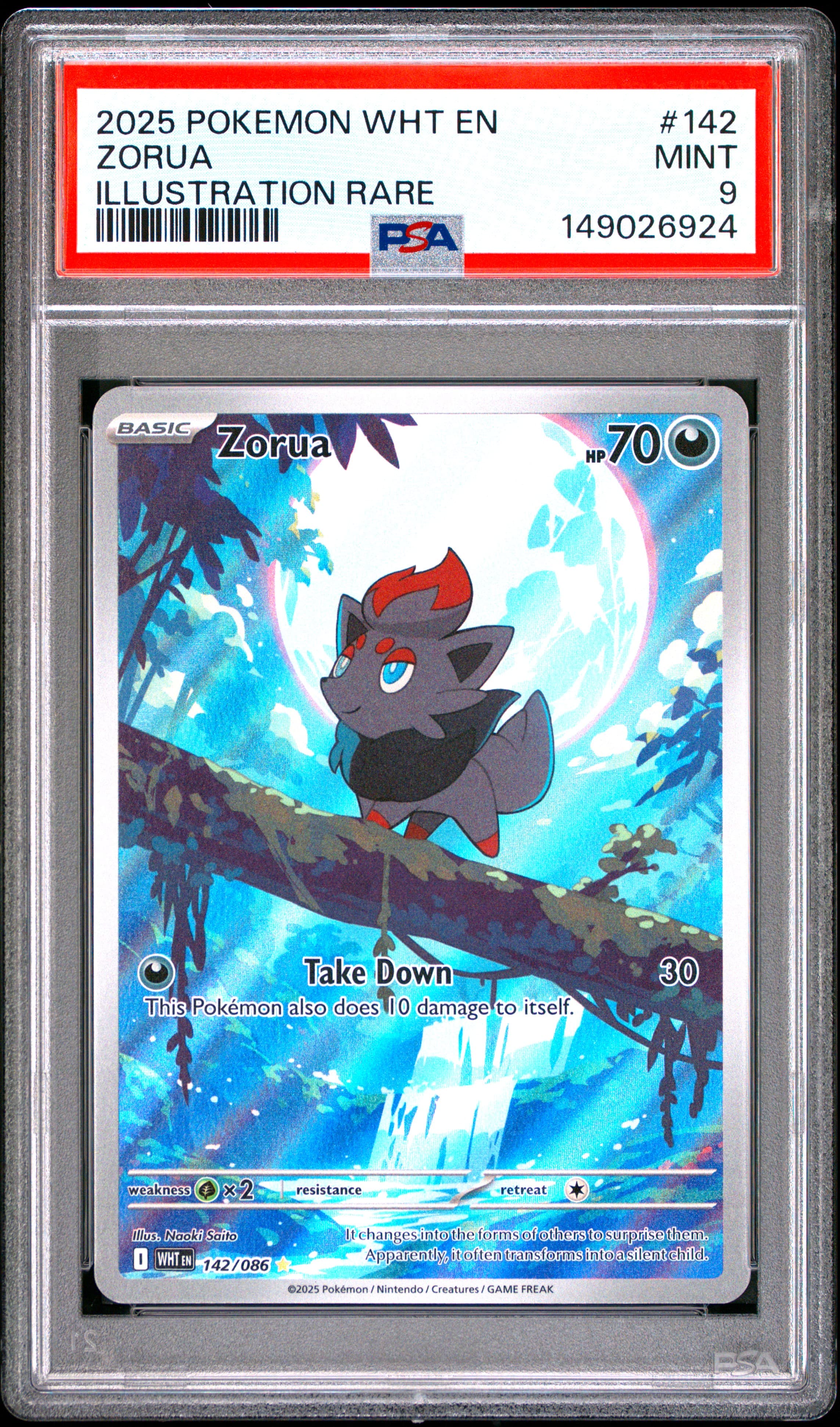 Zorua