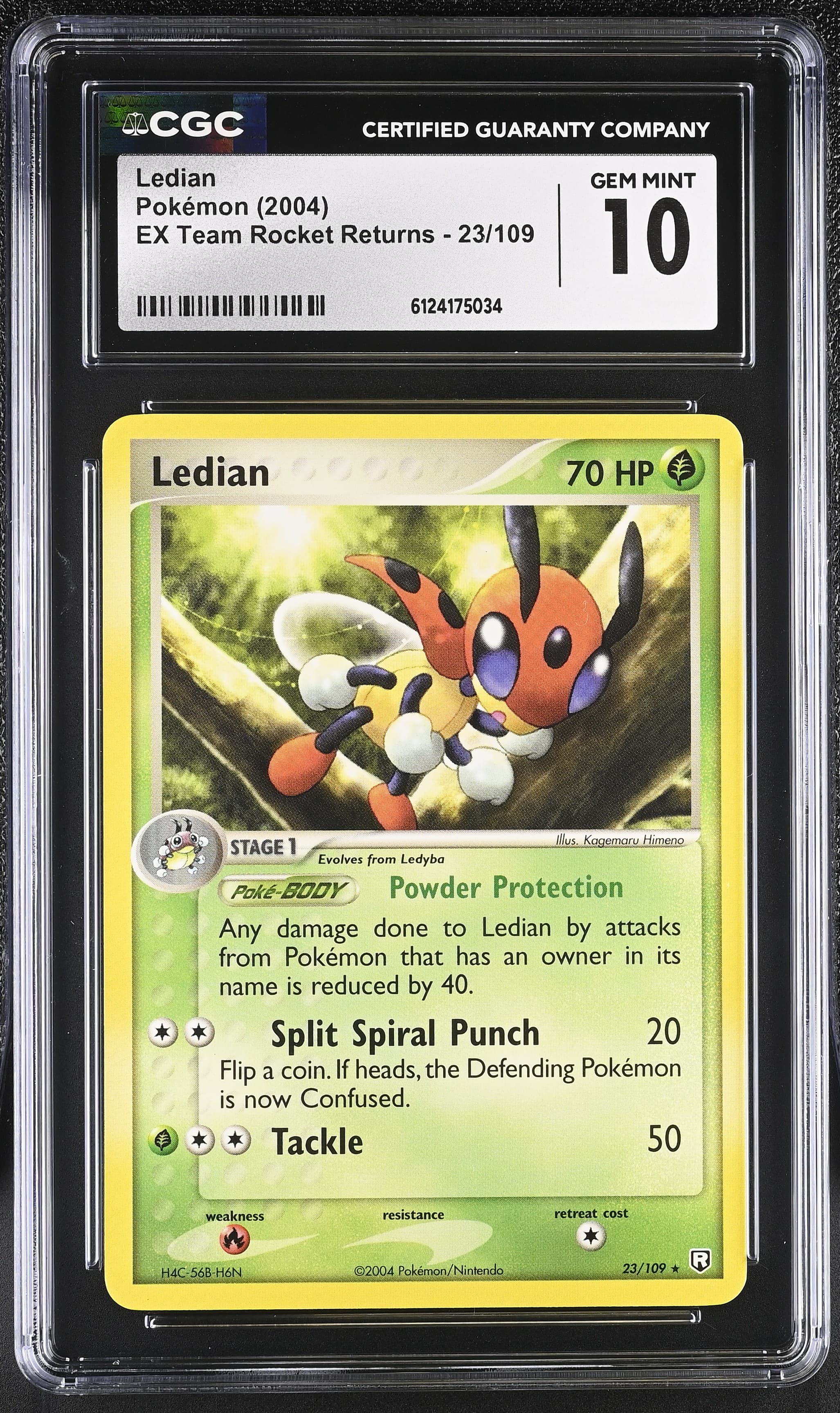Ledian