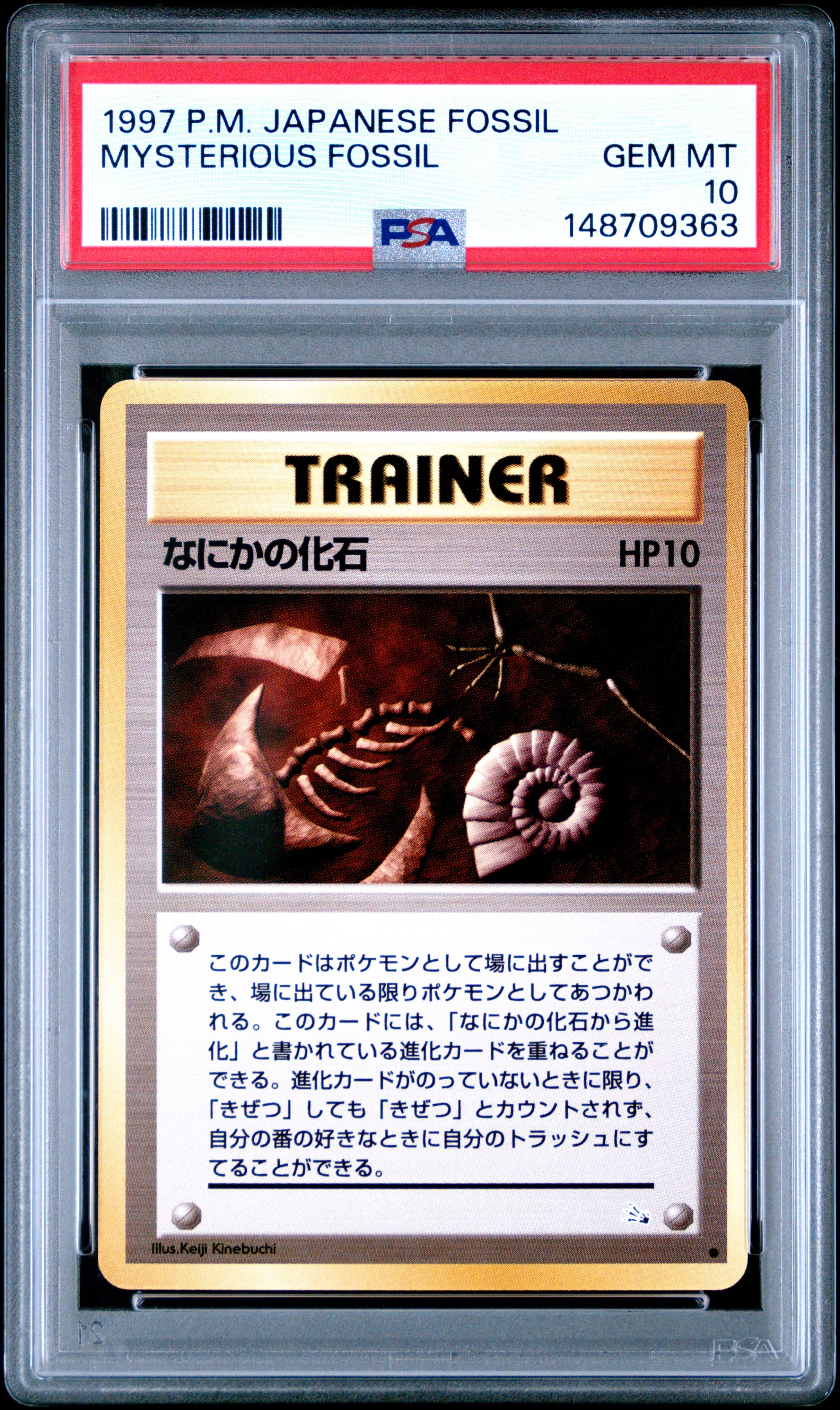 Mysterious Fossil