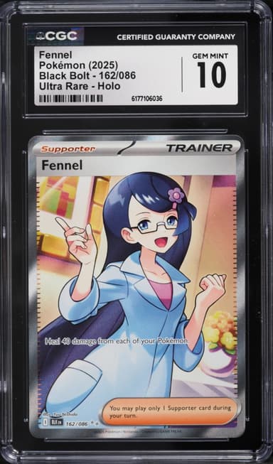 Fennel