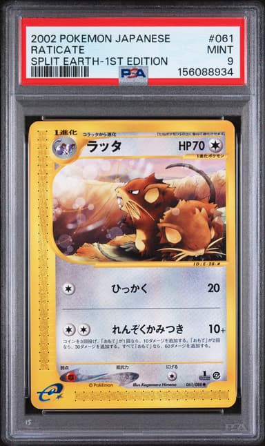 Raticate 1st Edition