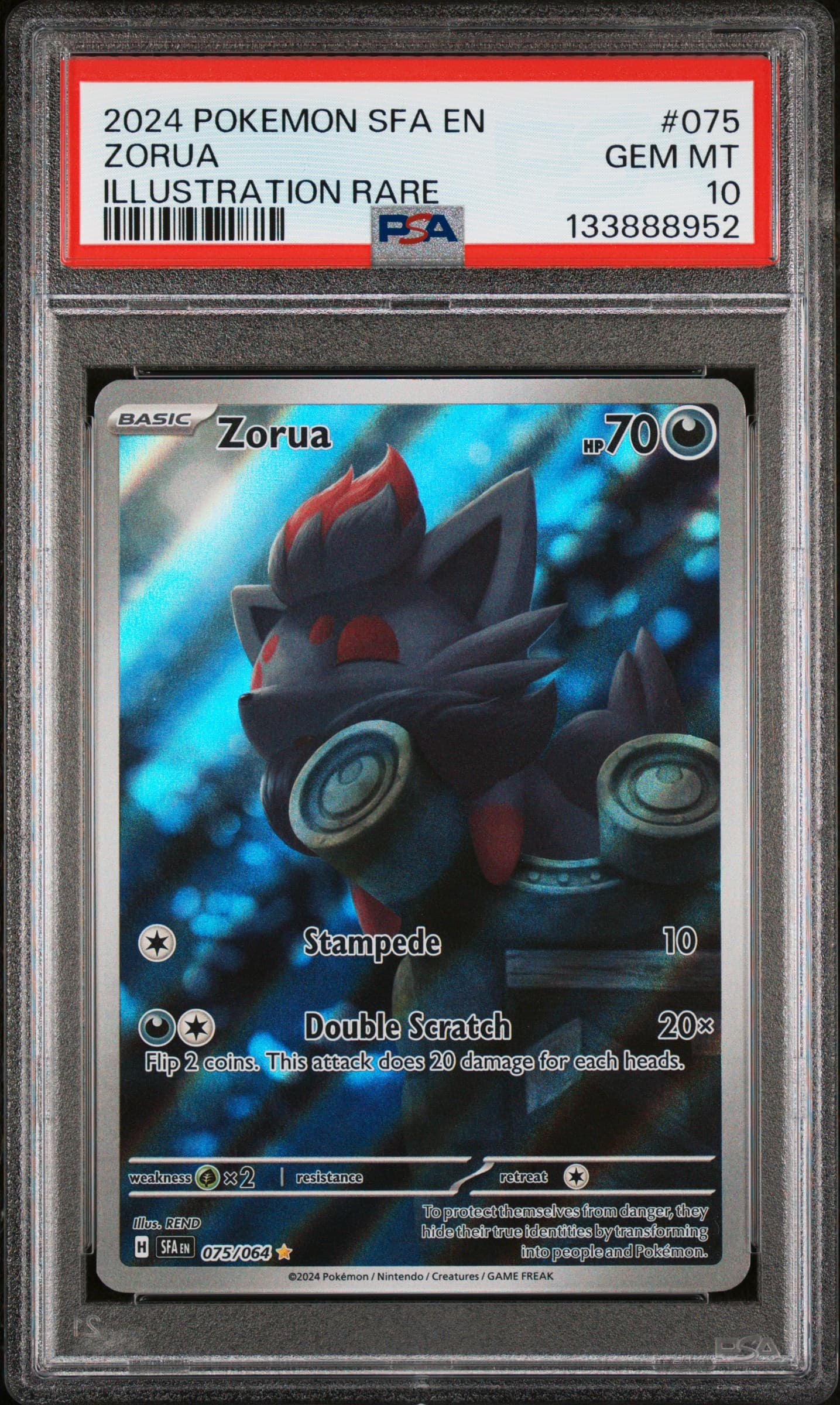 Zorua