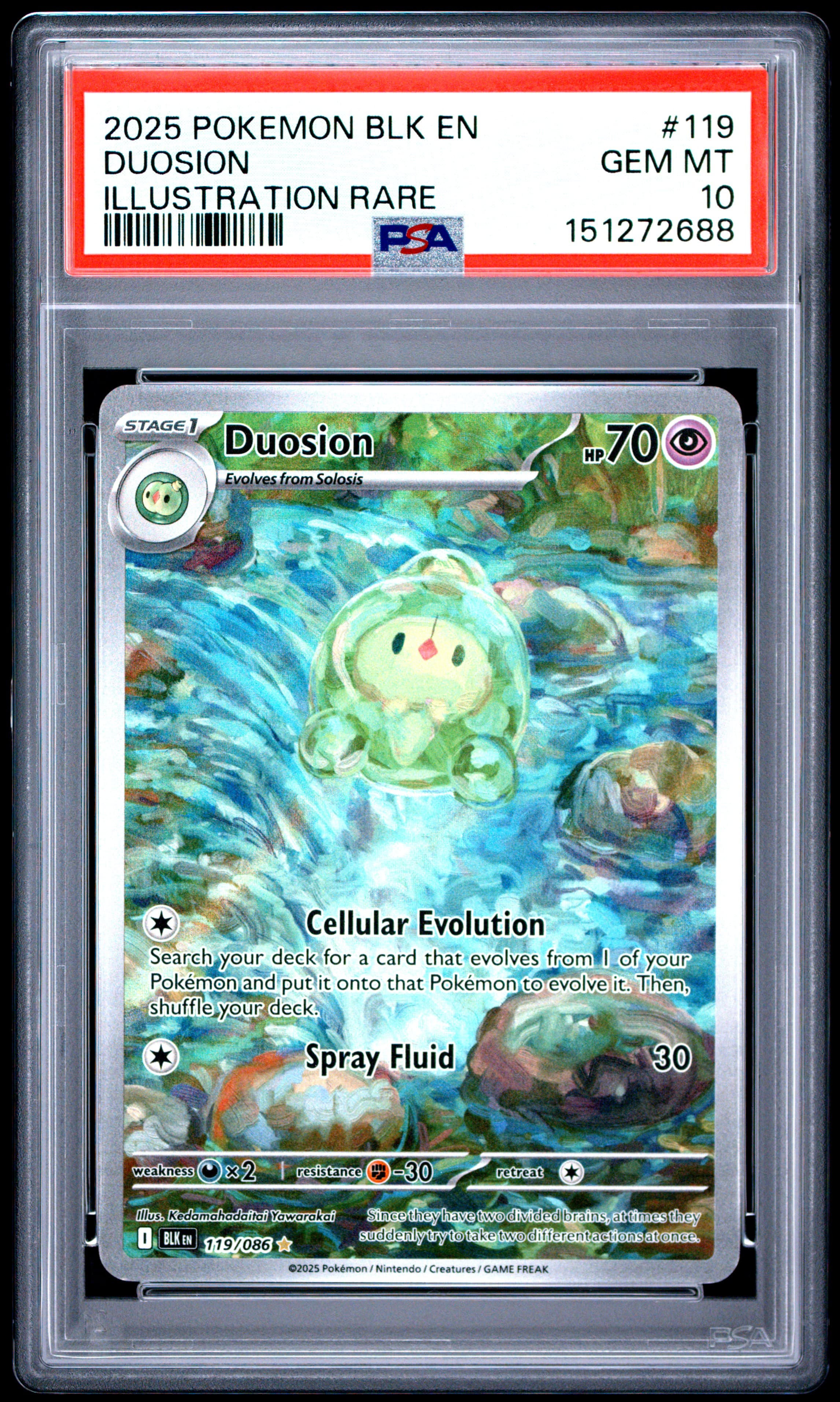 Duosion