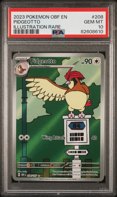 Pidgeotto