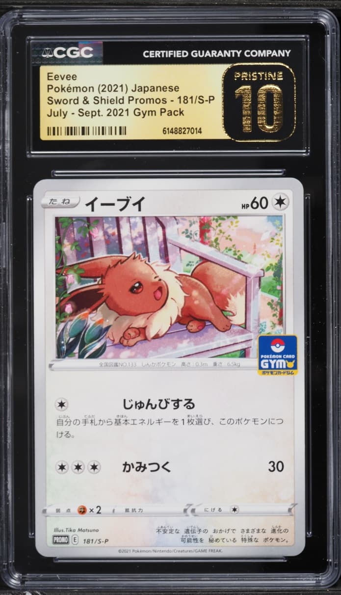 Pokemon Japanese Sword & Shield Promo Gym Pack Eevee #181