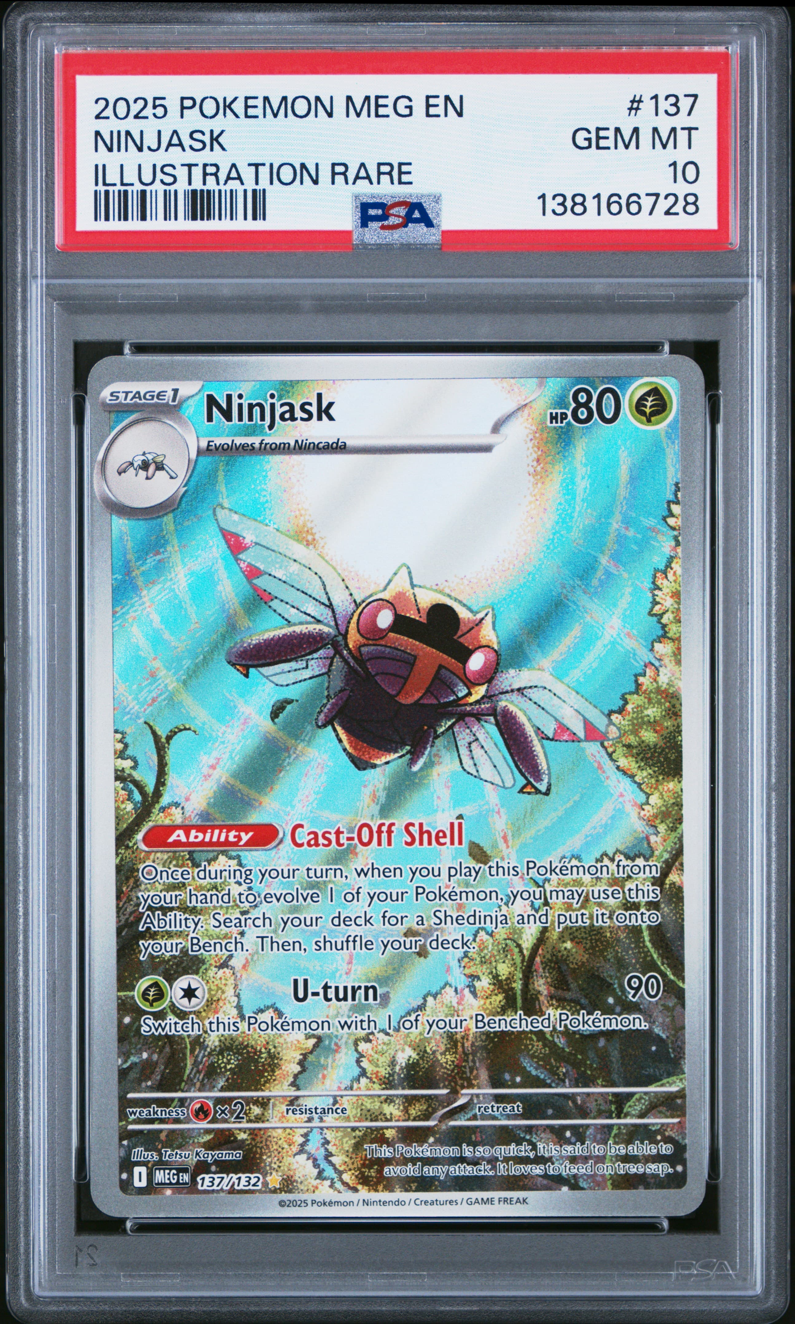 Ninjask