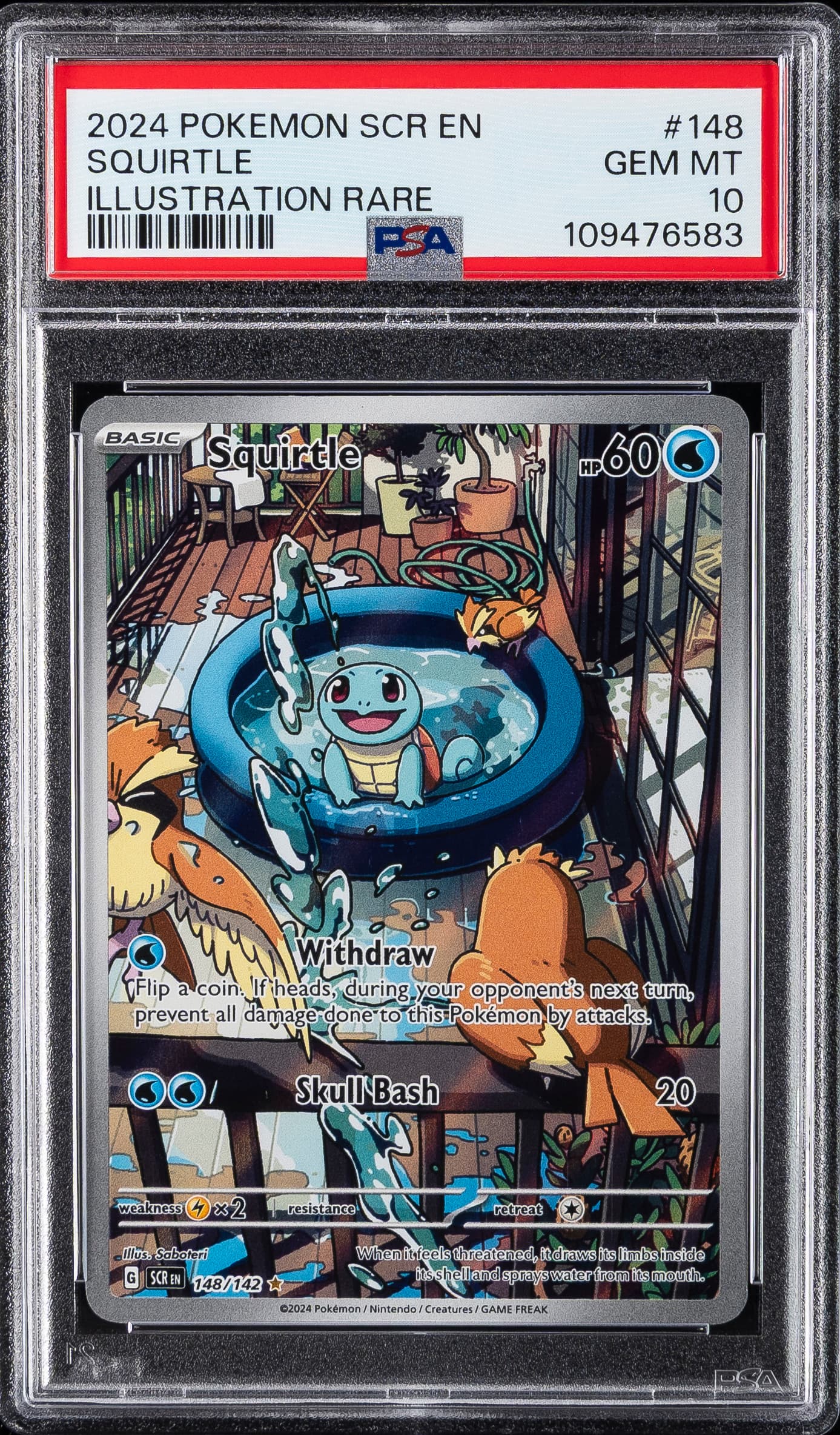 Squirtle