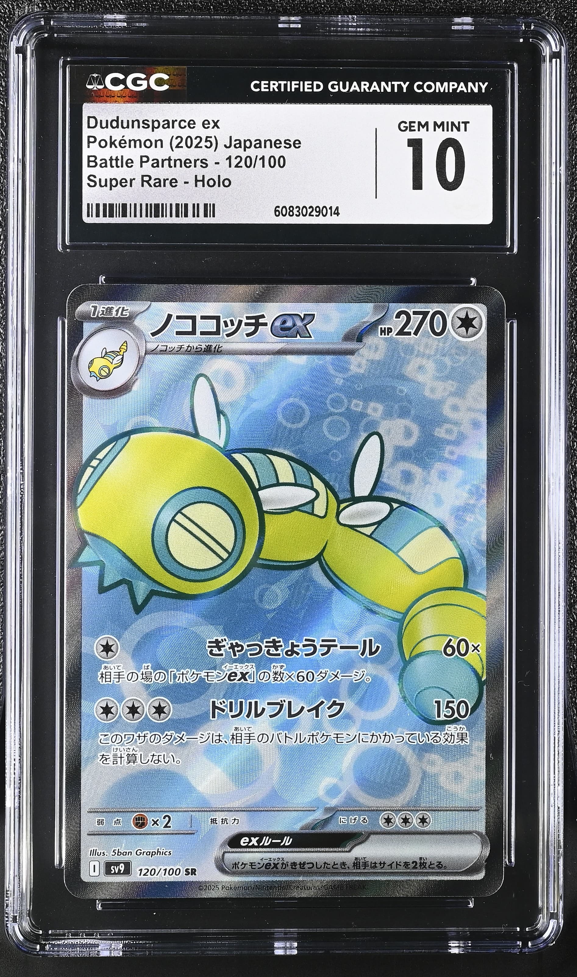 Dudunsparce ex