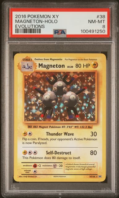 Magneton-Holo