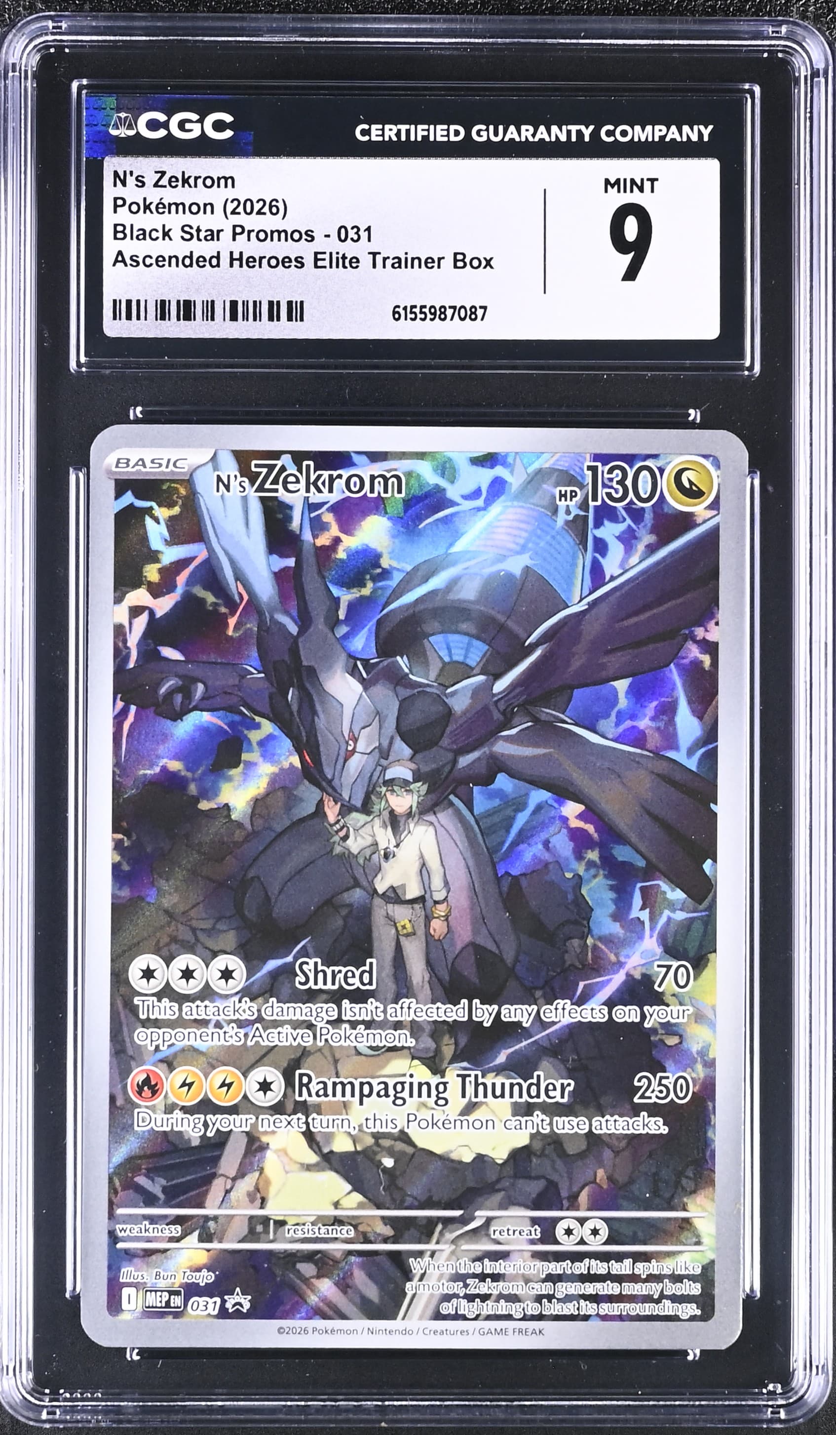 N's Zekrom