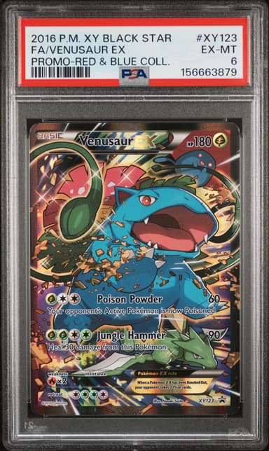 Full Art/Venusaur EX