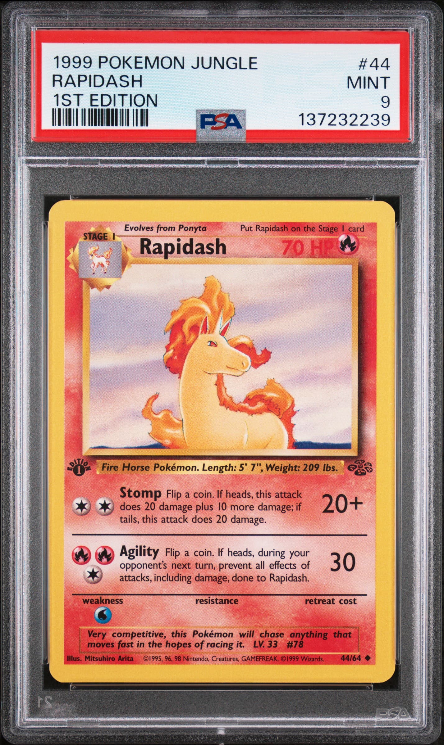 Rapidash 1st Edition