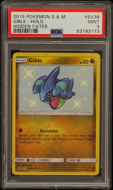 Gible-Holo