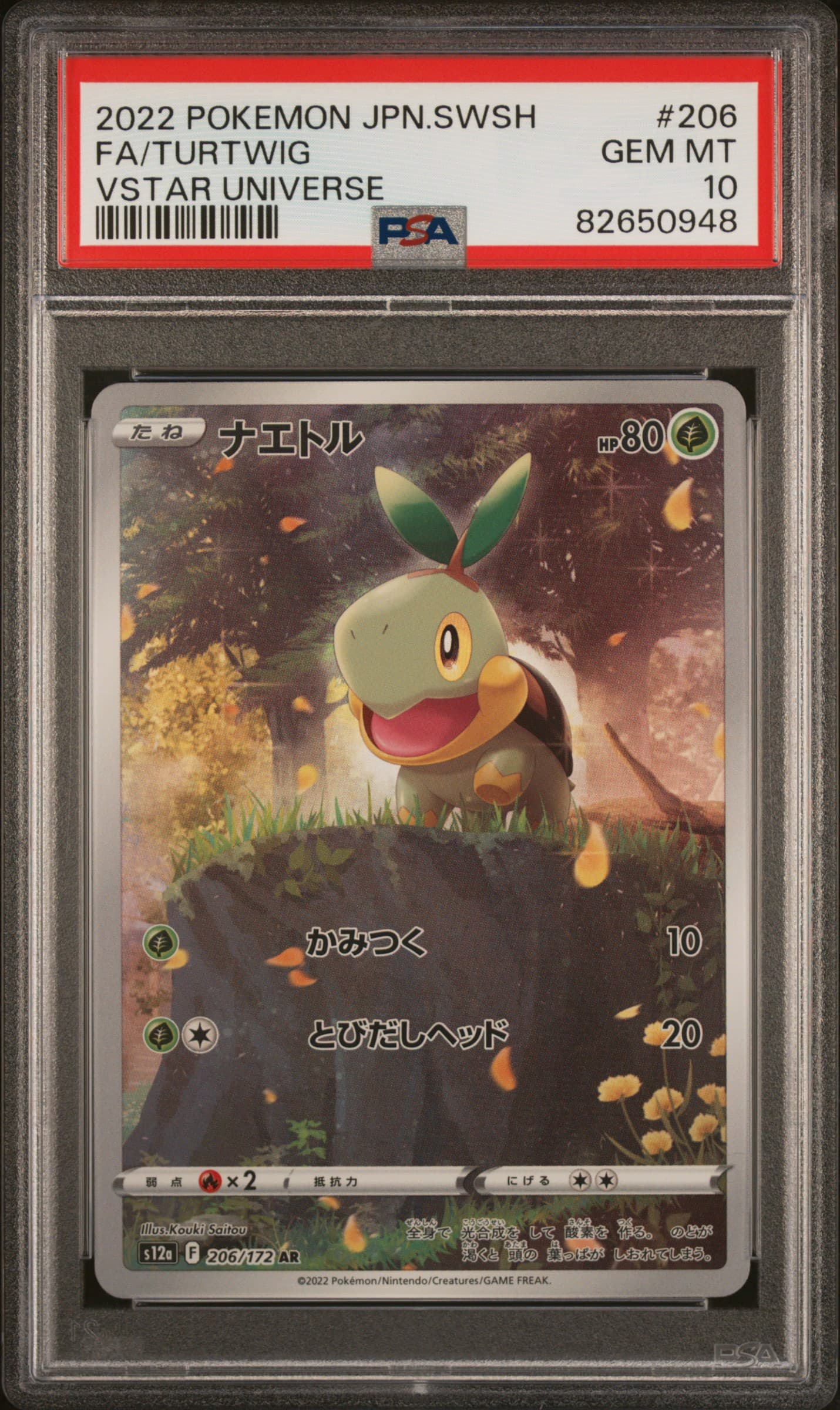 Full Art/Turtwig