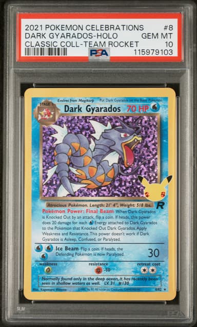 Dark Gyarados-Holo