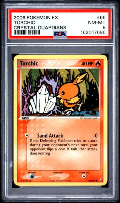 Torchic