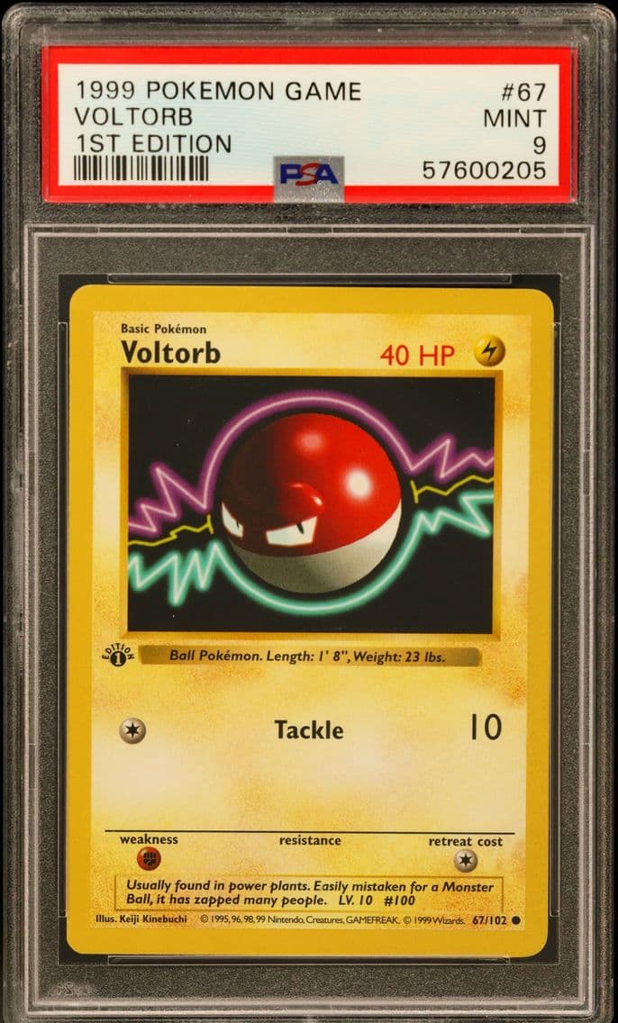 1999 #67 Voltorb 1st Edition PSA