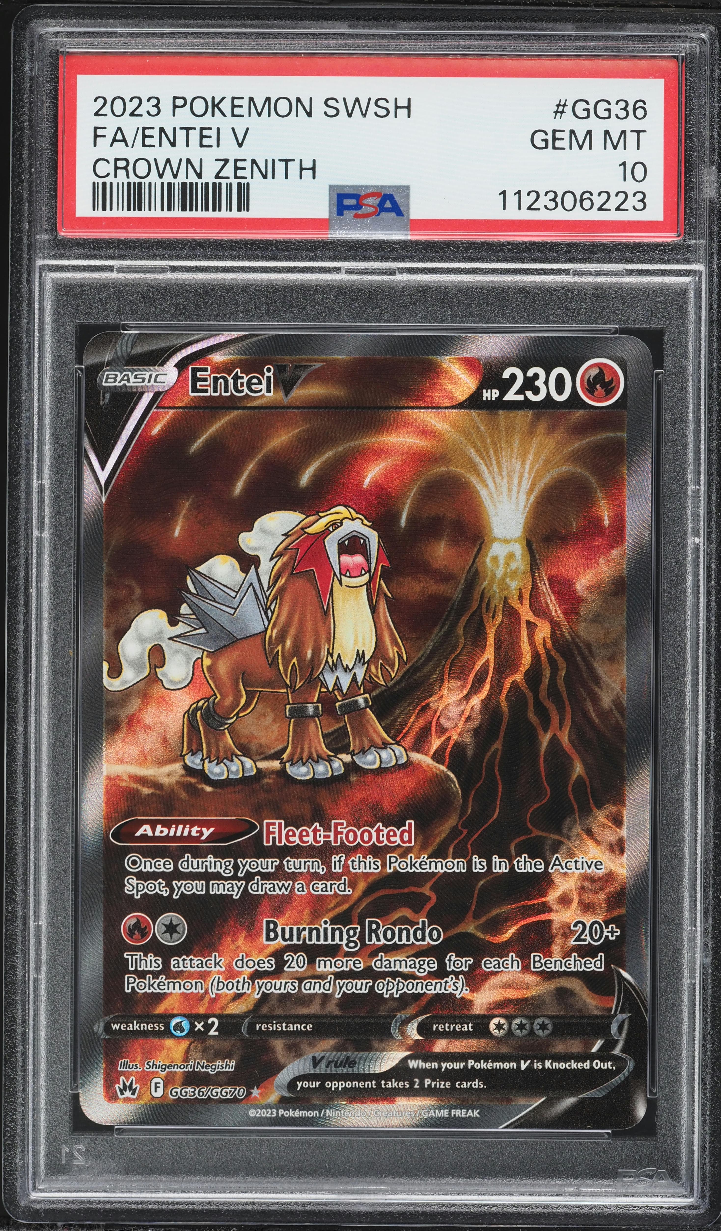 Full Art/Entei V