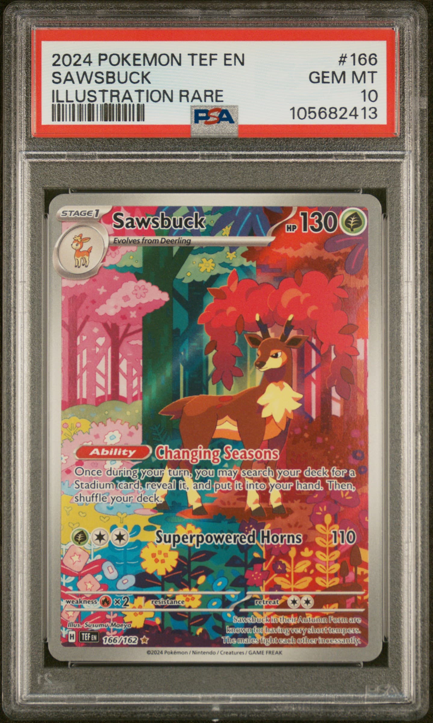 Sawsbuck