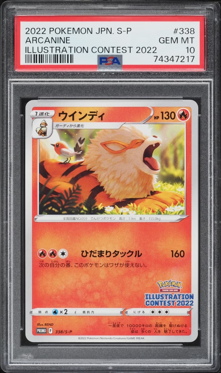 Pokemon Japanese Sword & Shield Illustration Contest Arcanine #338