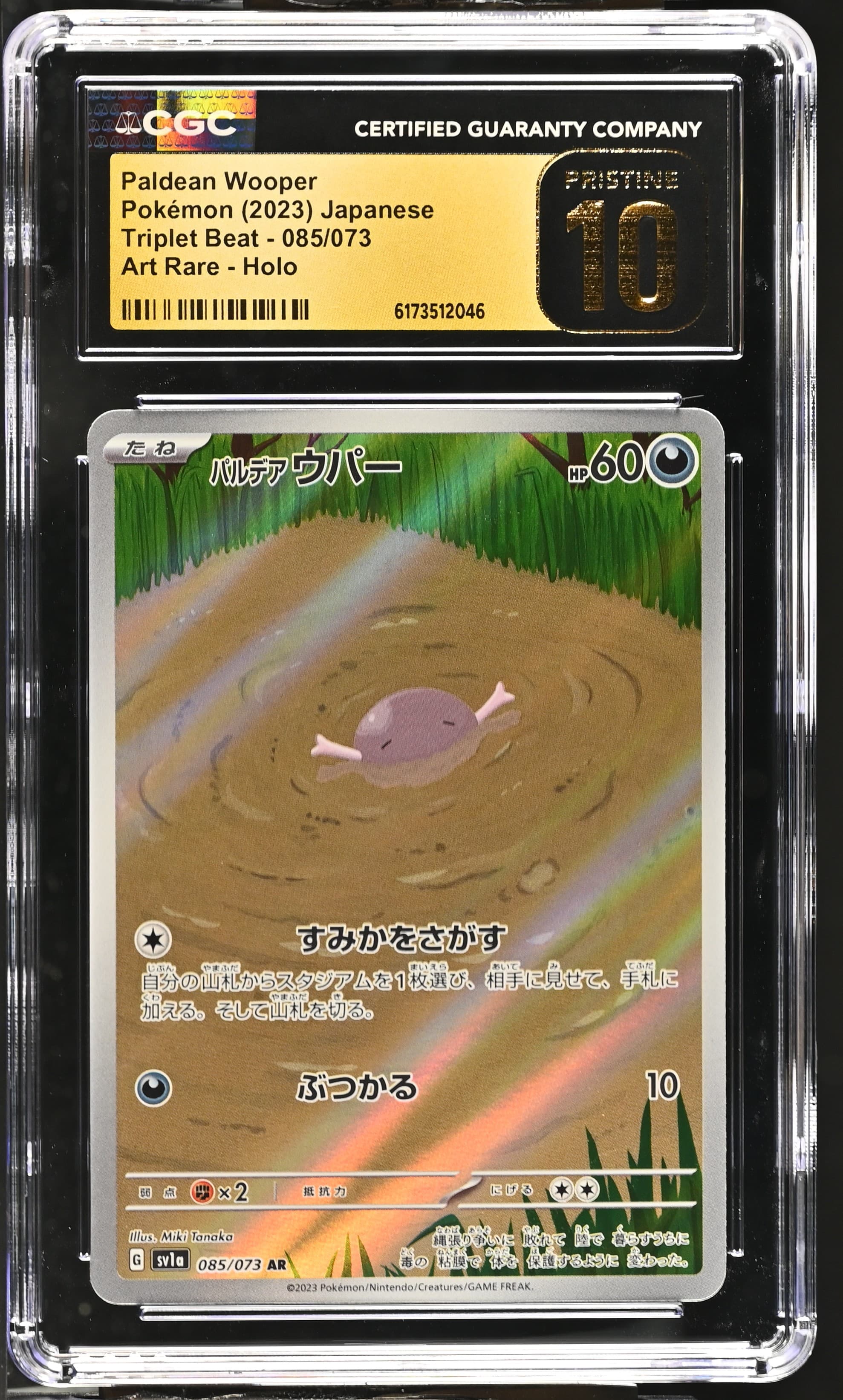 Paldean Wooper