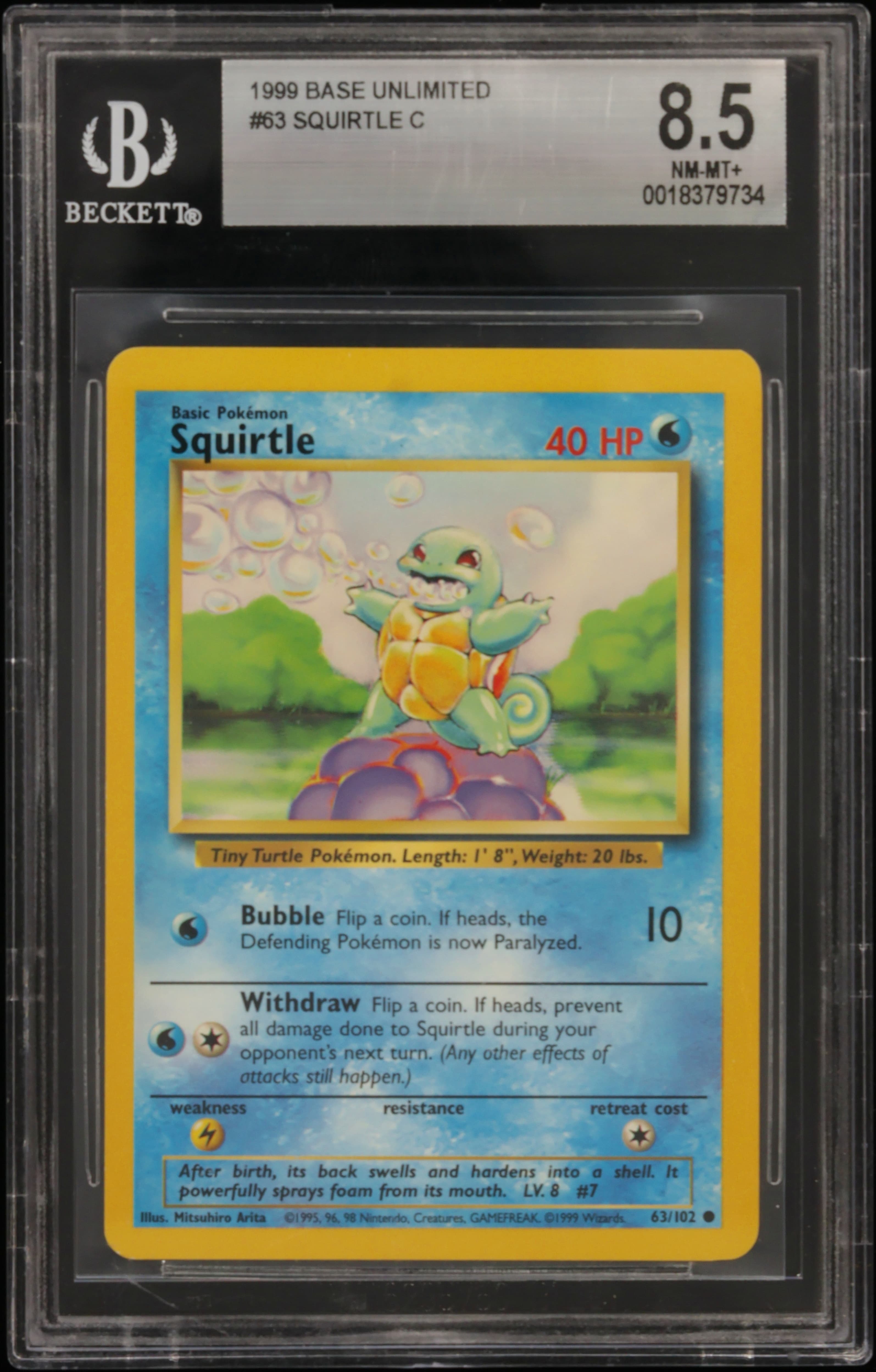 Squirtle C
