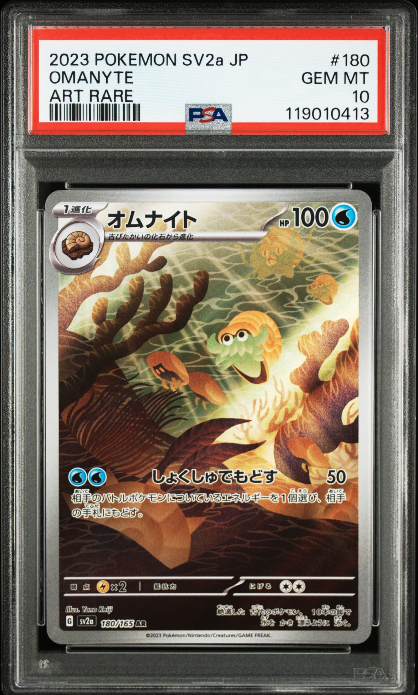 Omanyte