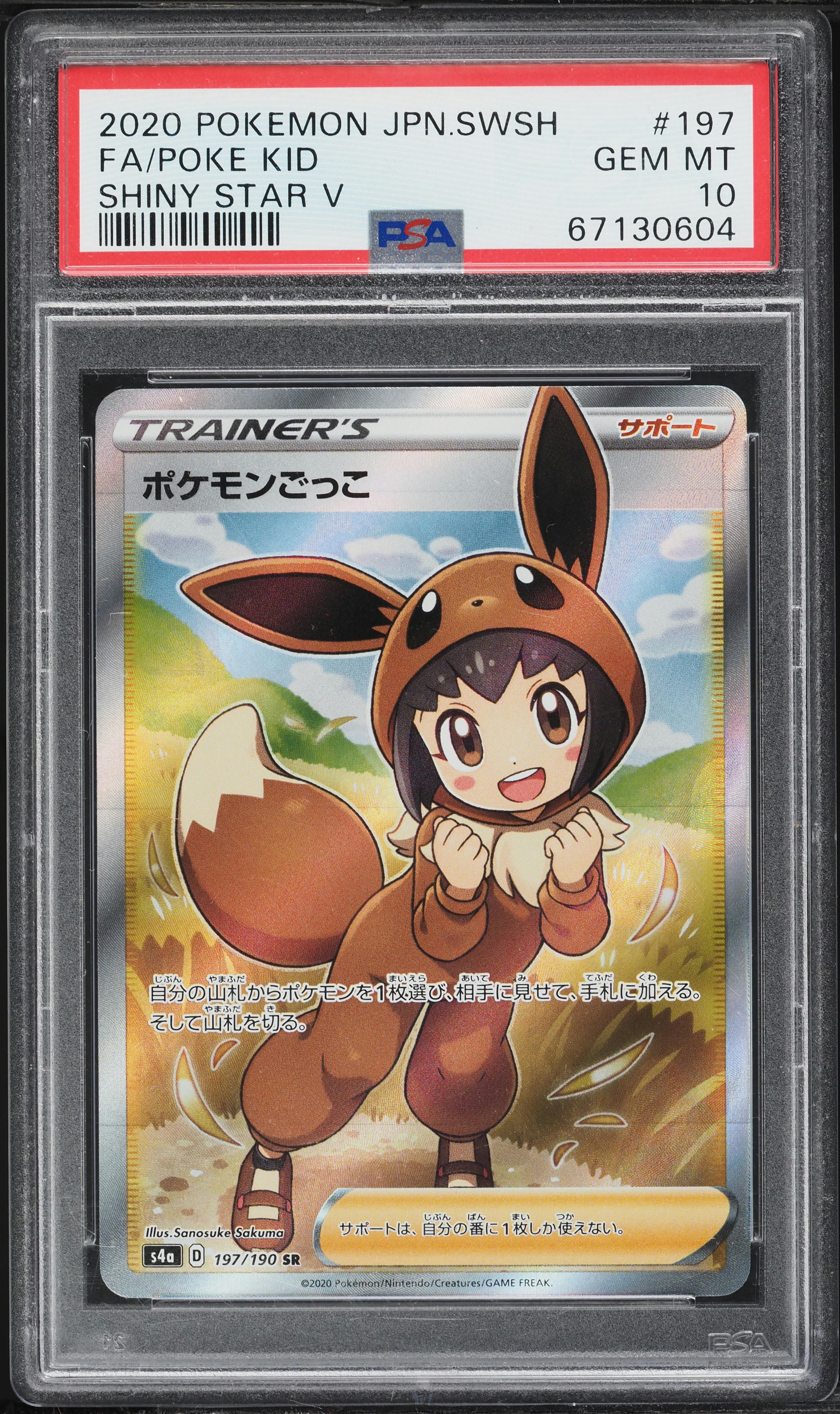 Full Art/Poke Kid