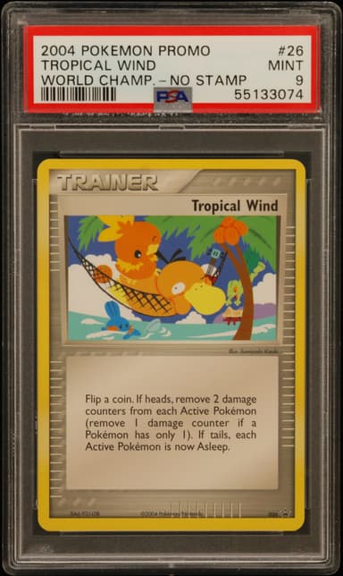 Tropical Wind