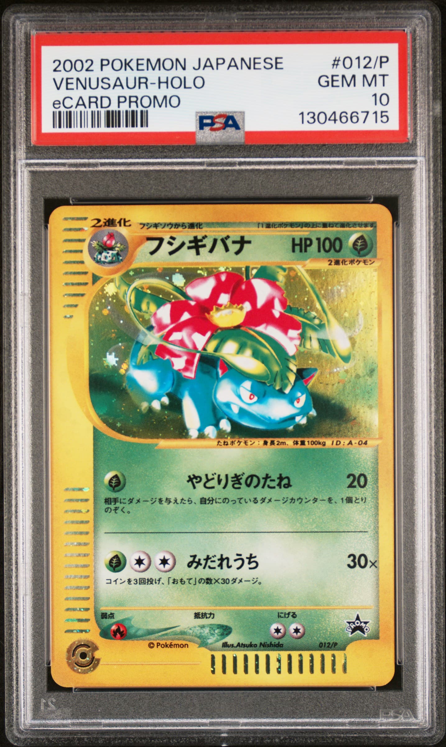 Venusaur-Holo