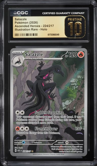 Pokemon Mega Evolution Ascended Heroes IR Salazzle #224