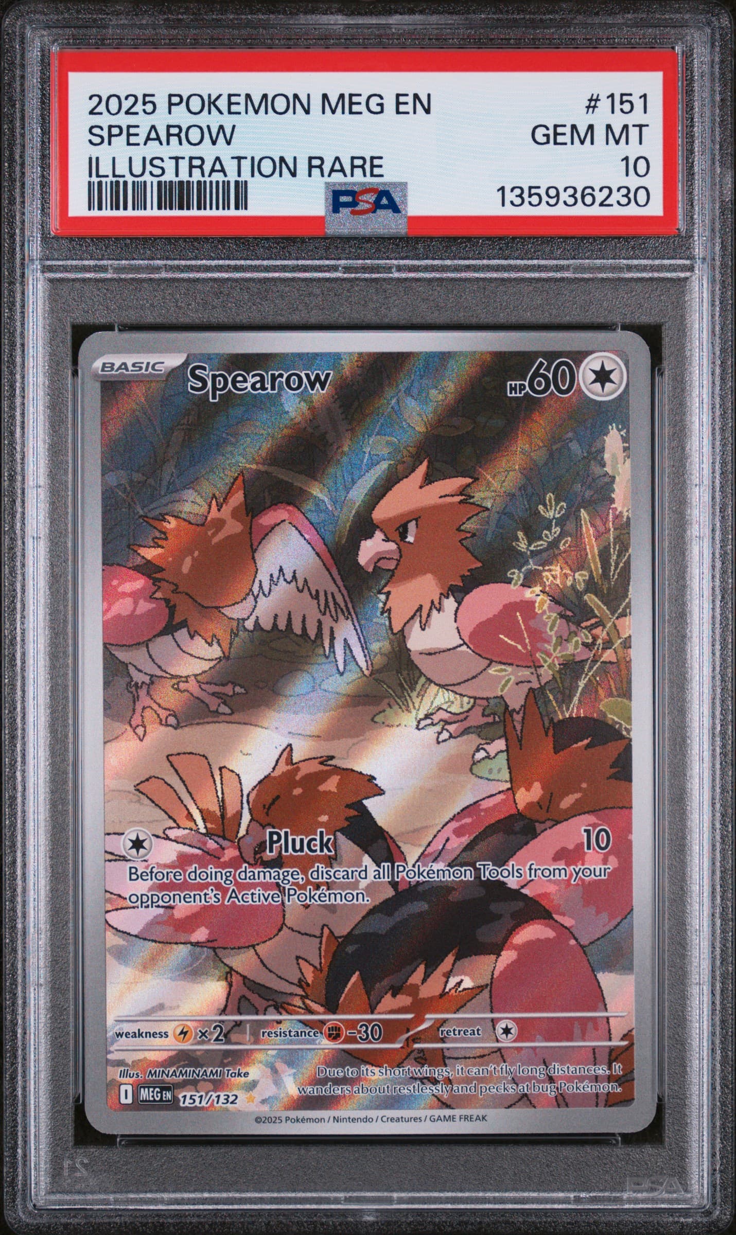Spearow