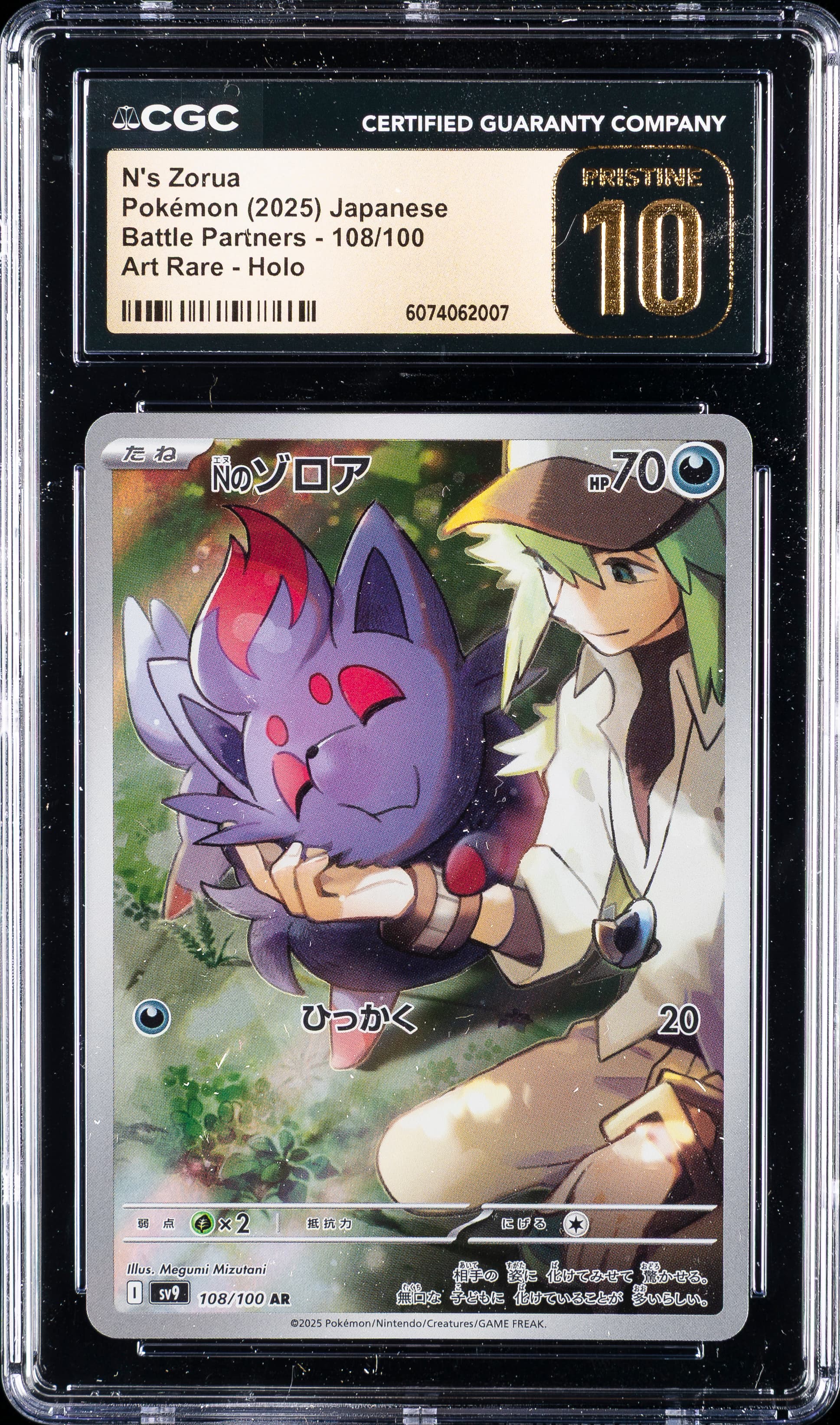 N's Zorua