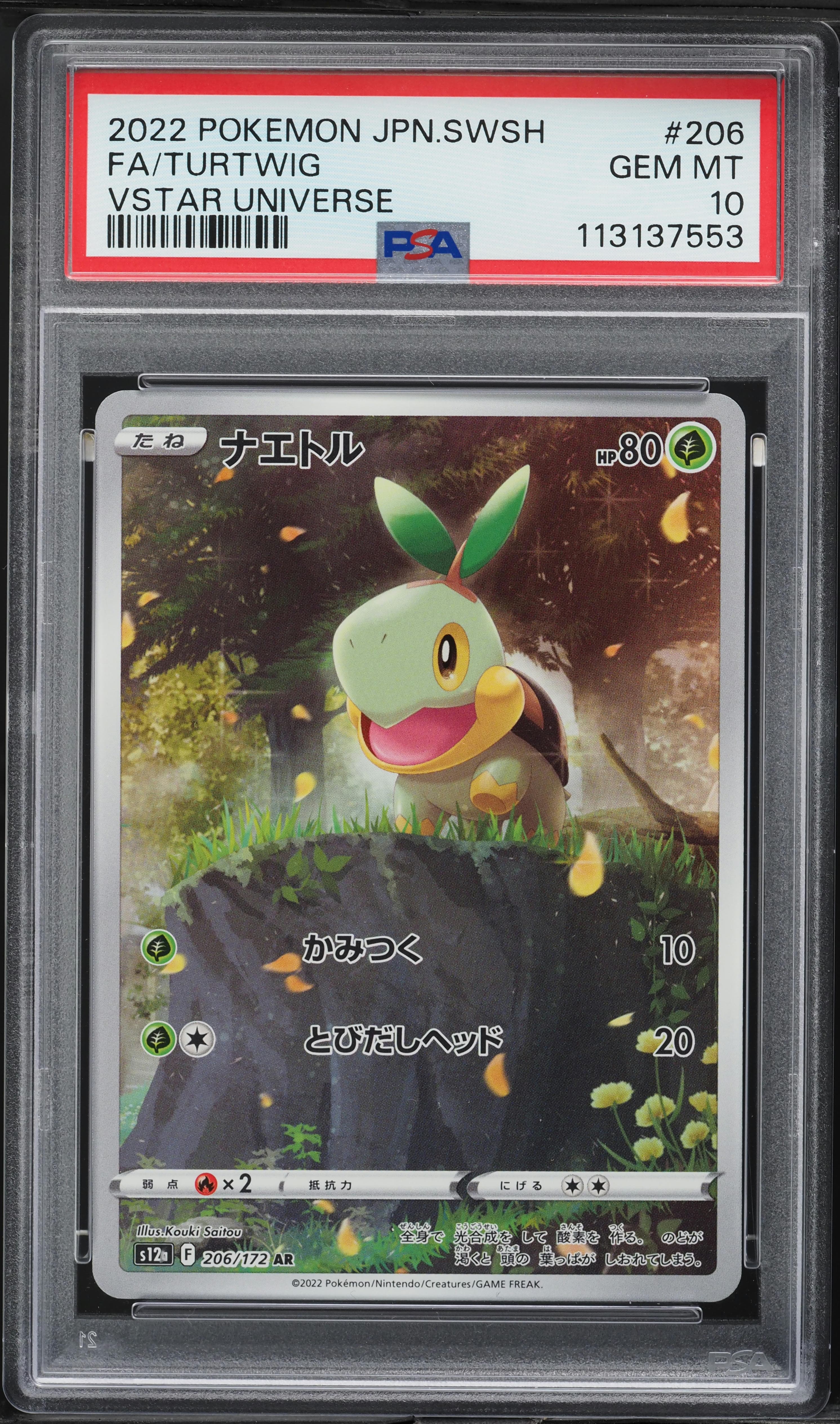 Full Art/Turtwig