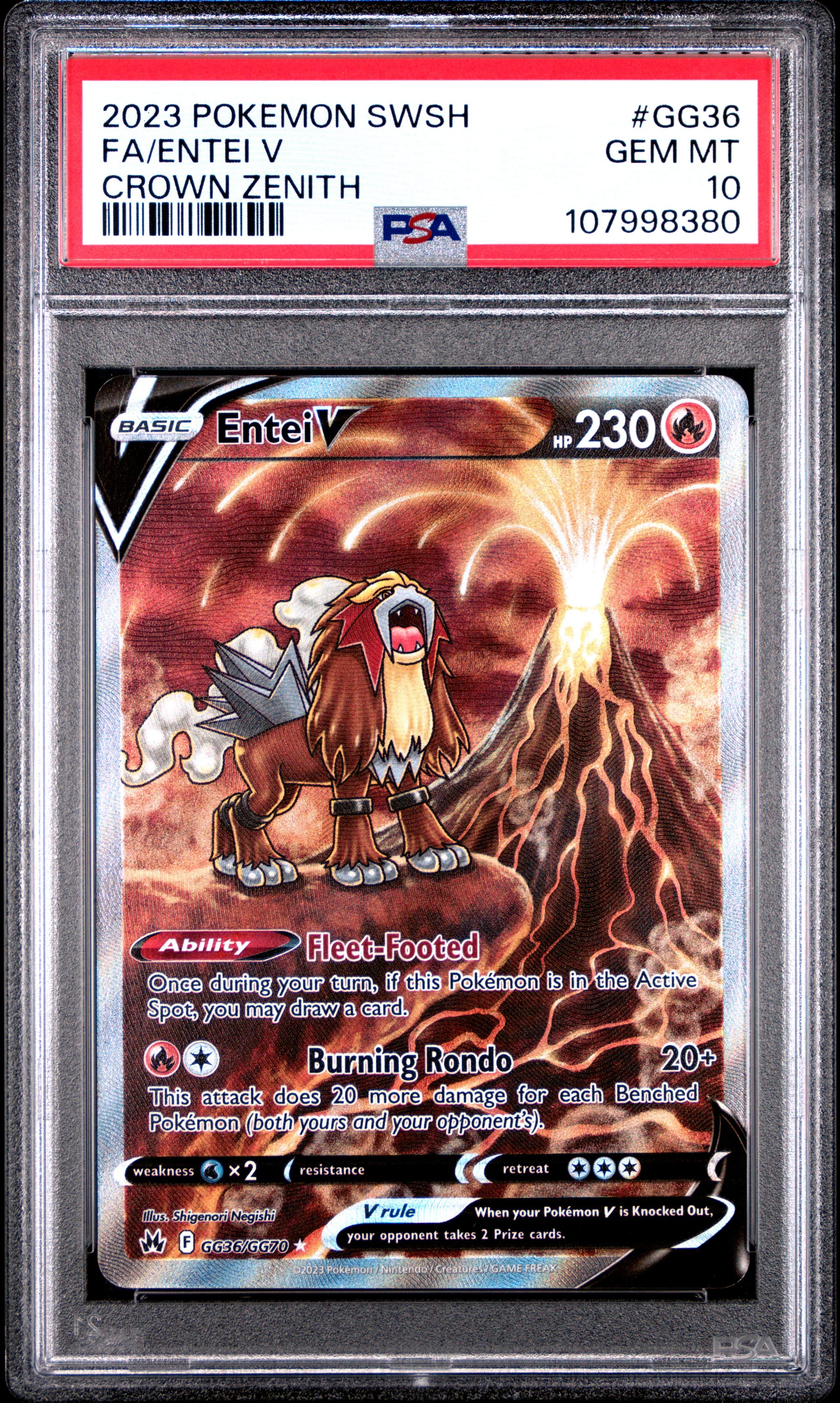Full Art/Entei V