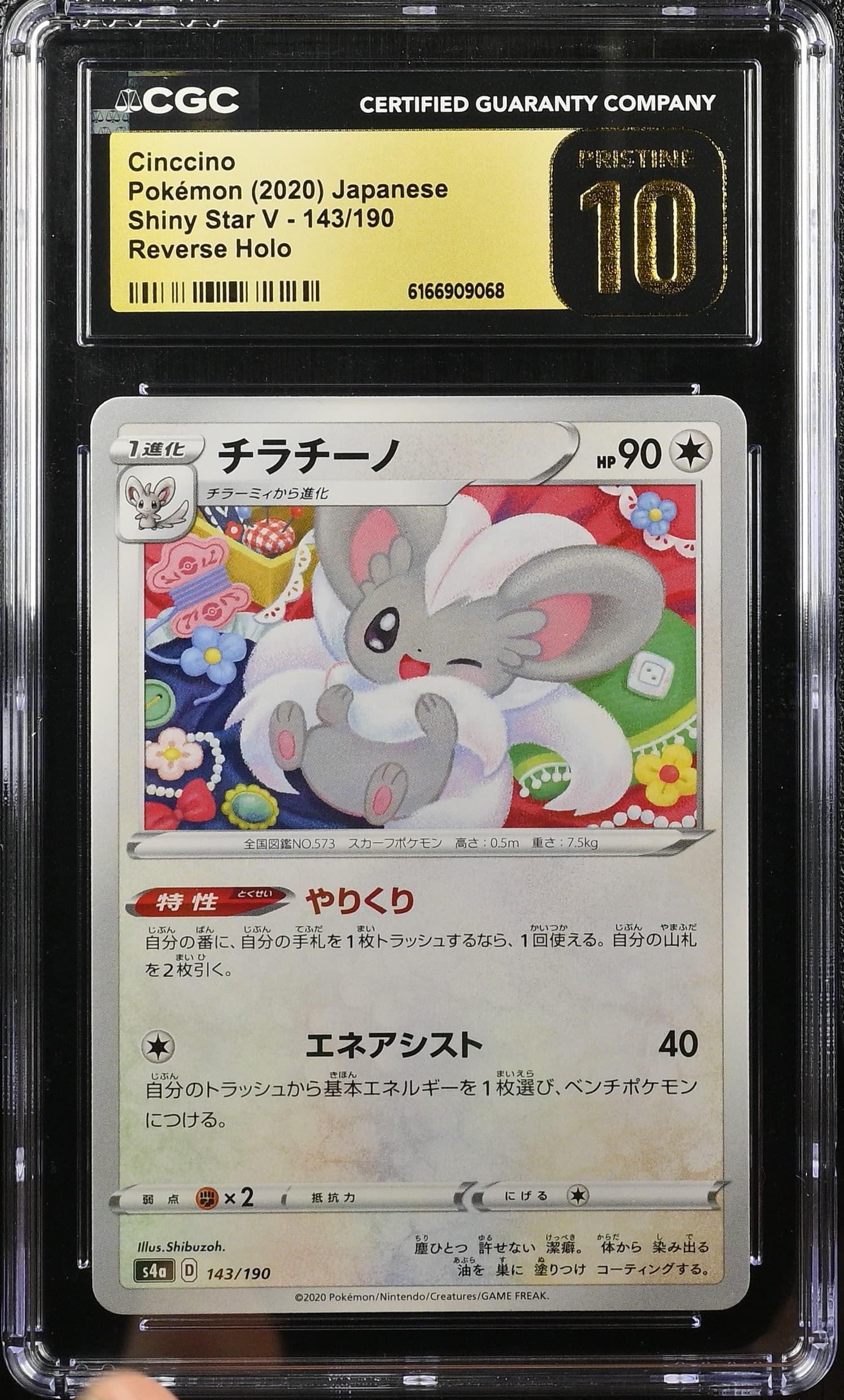 Cinccino Reverse Holo